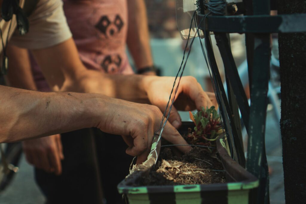 A man planting a plant