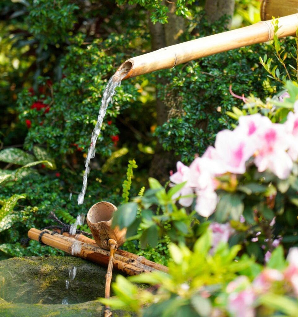 Bamboo water feature trickling into pond, surrounded by lush ferns and moss.