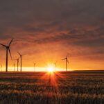 Win turbines in sunset