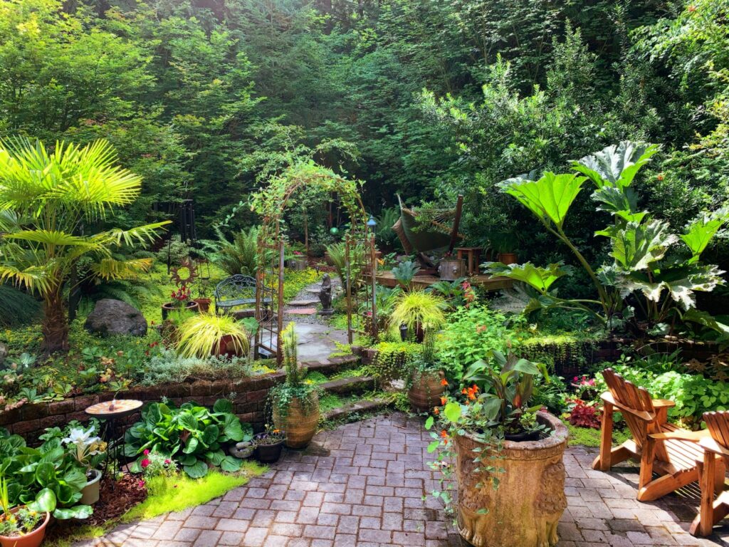 outdoor garden with a path, diverse foliage, and large green plants under natural light.