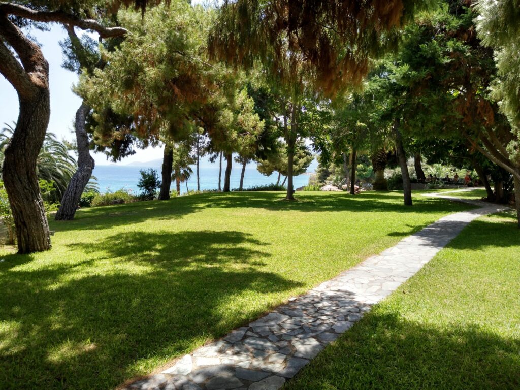 A sunny garden path winding through green grass and trees, leading towards a body of water in the distance.