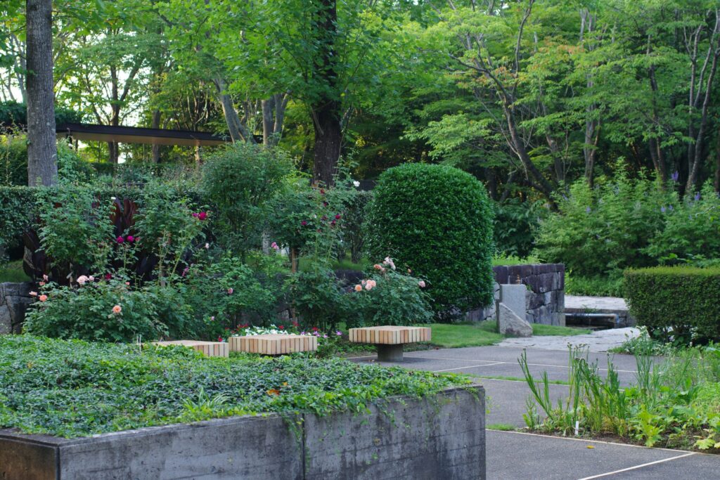 Sunnyside garden, a peaceful landscaped area with diverse flora and water features.