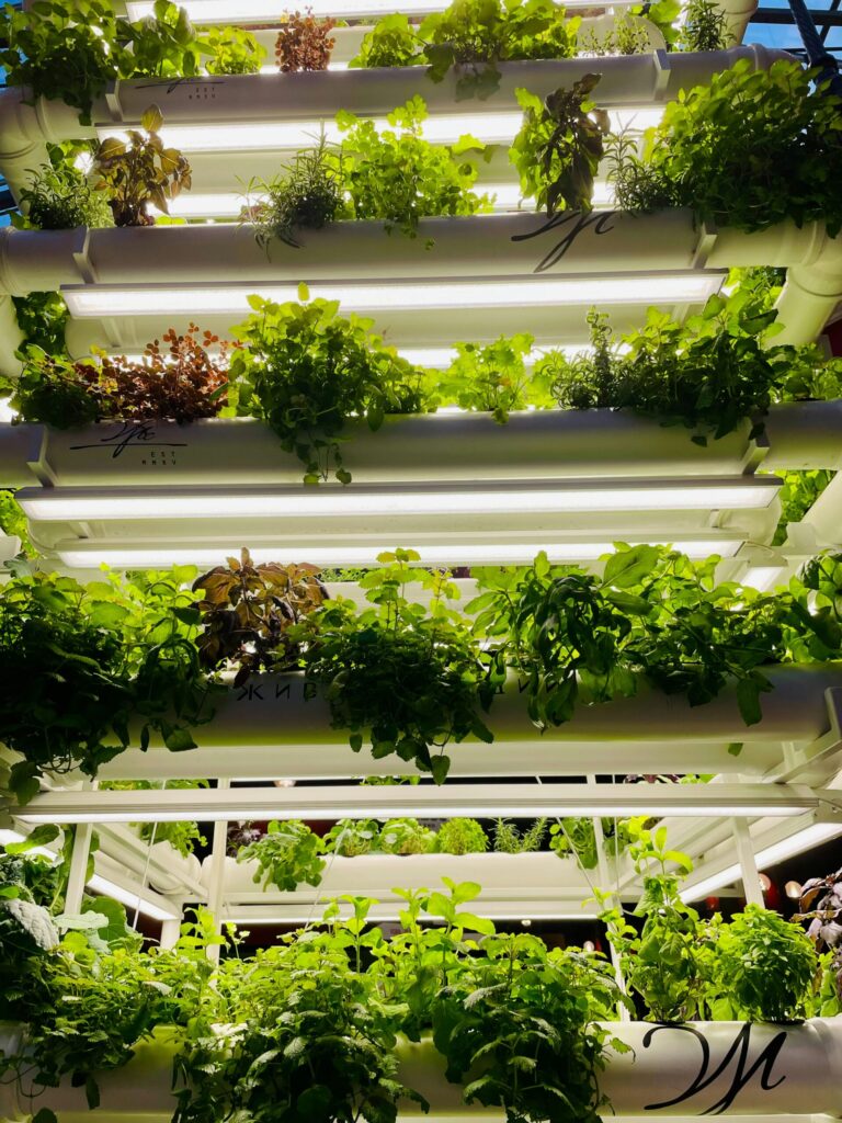 Highlights the innovative, space-saving aspect of vertical farming