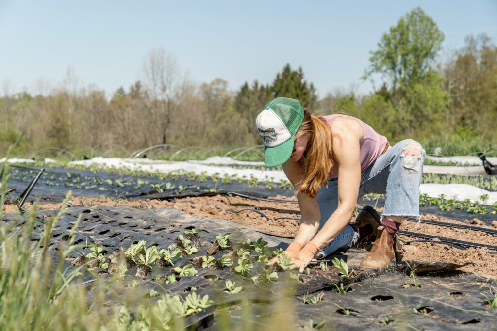 Emphasizes soil health, a key focus of regenerative practices.