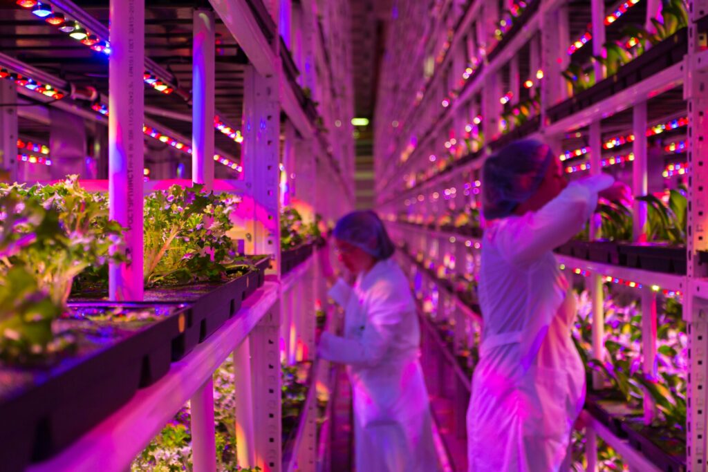 futuristic greenhouse with advanced technology and thriving plants