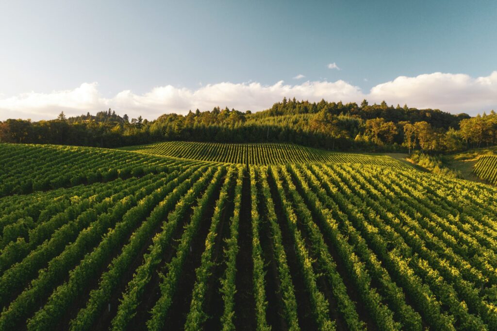Sustainable large farm