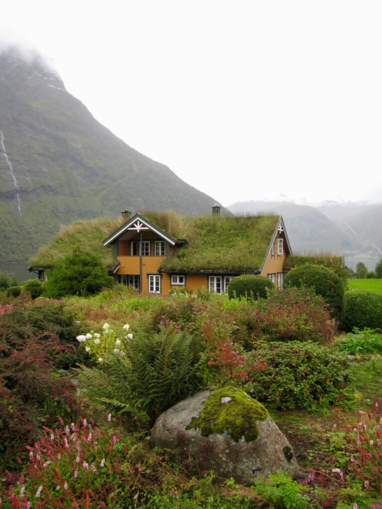 lush green roof covered with native plants and wildflowers, atop a sustainable urban home