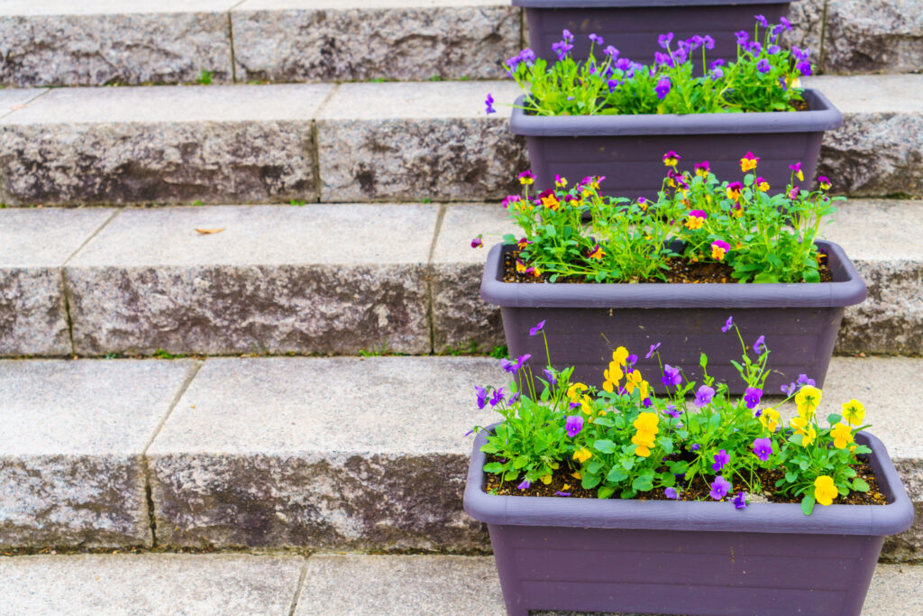 Tiered pyramid planter with flowers on a rooftop