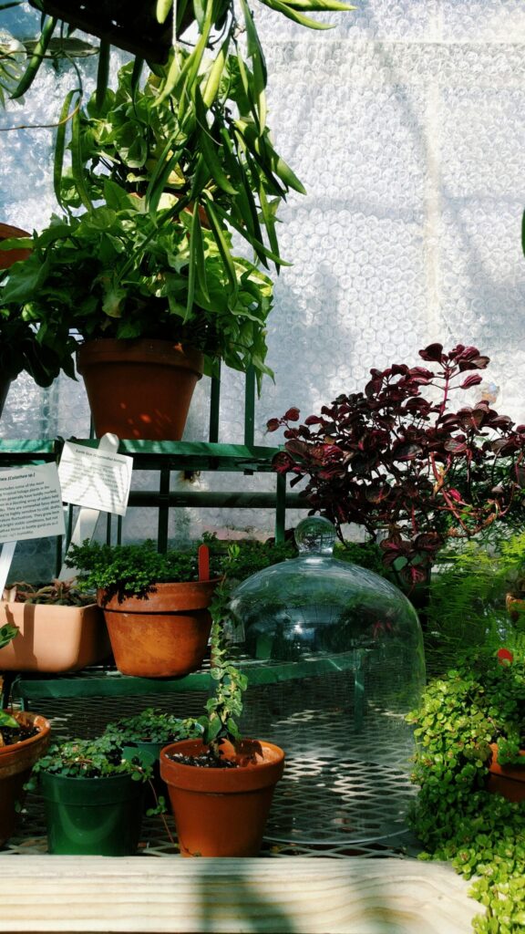 Various sized containers creating different growing zones on a rooftop garden, featuring lush green plants and diverse pots.