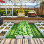 A lush rooftop garden featuring rows of green plants, possibly in a greenhouse or controlled environment