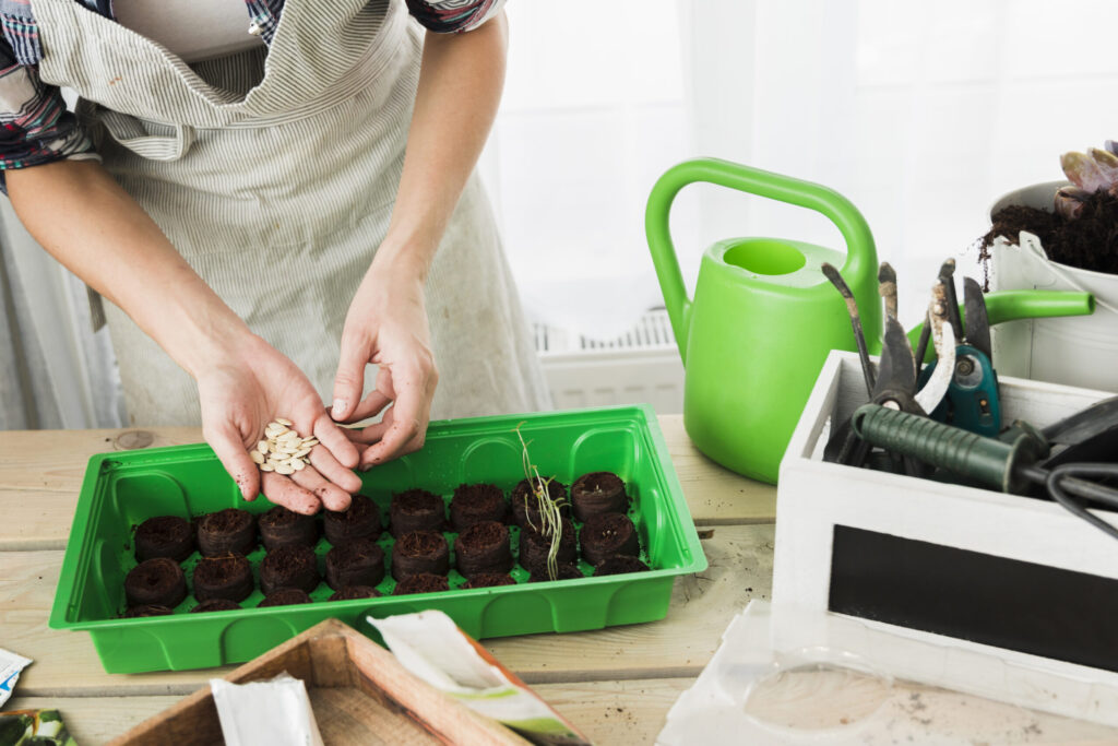 Close-up of a person's hands planting seeds in small pots, with gardening tools and seedlings in the background.