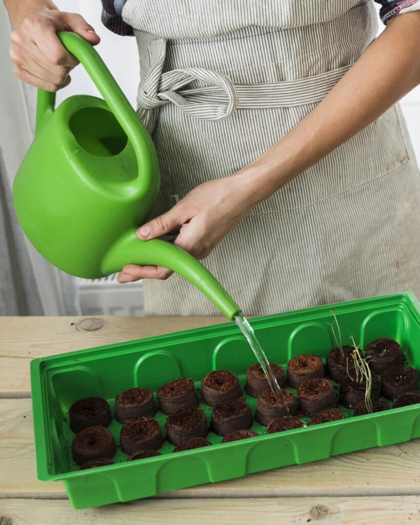 A person watering seed tray