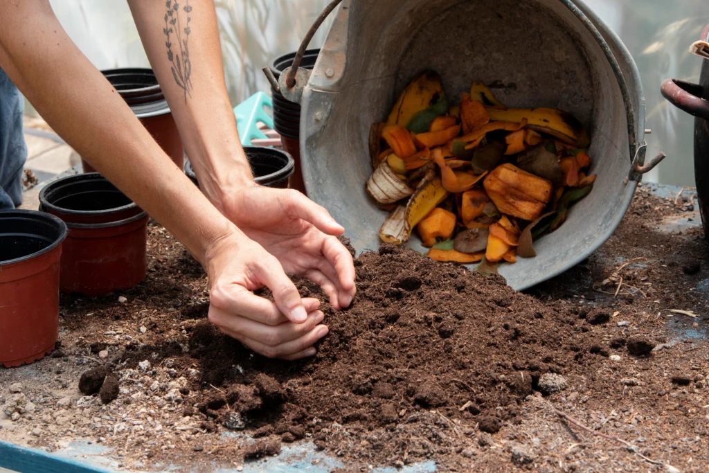 Hands holding rich, dark compost with a bucket of kitchen scraps like banana peels ready to be added.