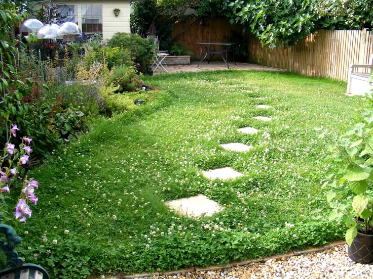 A low-maintenance backyard with a lush clover lawn and a winding path of stepping stones.