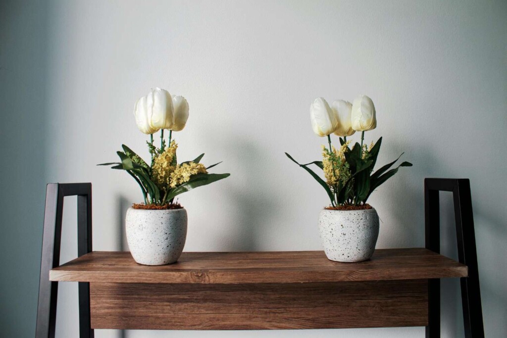 Two matching modern pots with white tulips displayed as home decor on a wooden shelf against a white wall.