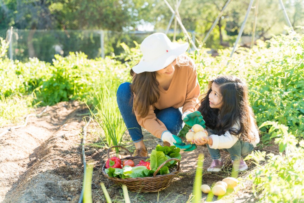 mother-daughter-harvesting-vegetables-together-garden (1)