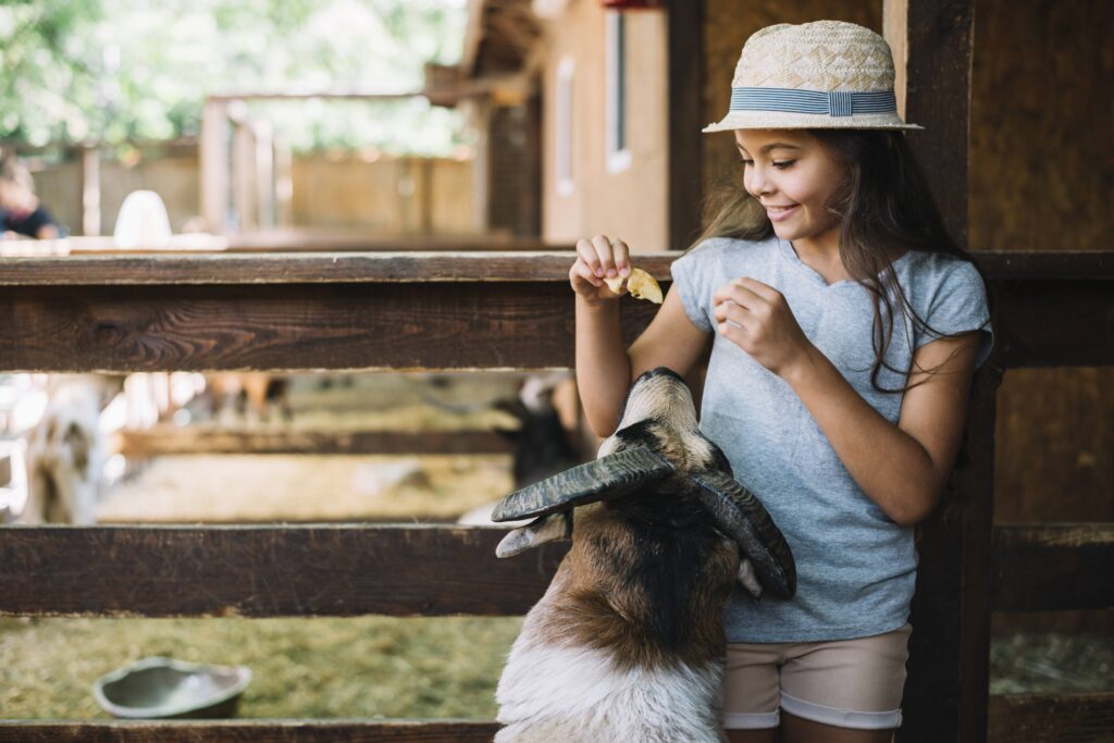 A smiling young girl in a straw hat stands by a wooden fence, feeding a piece of food to a brown and white goat that is looking up at her eagerly.
