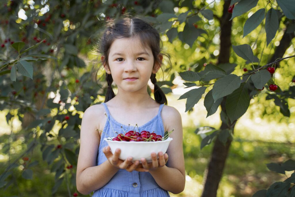 A young girl with pigtails in a blue dress stands in front of a cherry tree, holding a white bowl filled with freshly picked red cherries and looking directly at the camera.